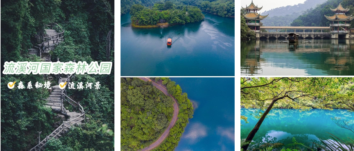流溪河森林公園