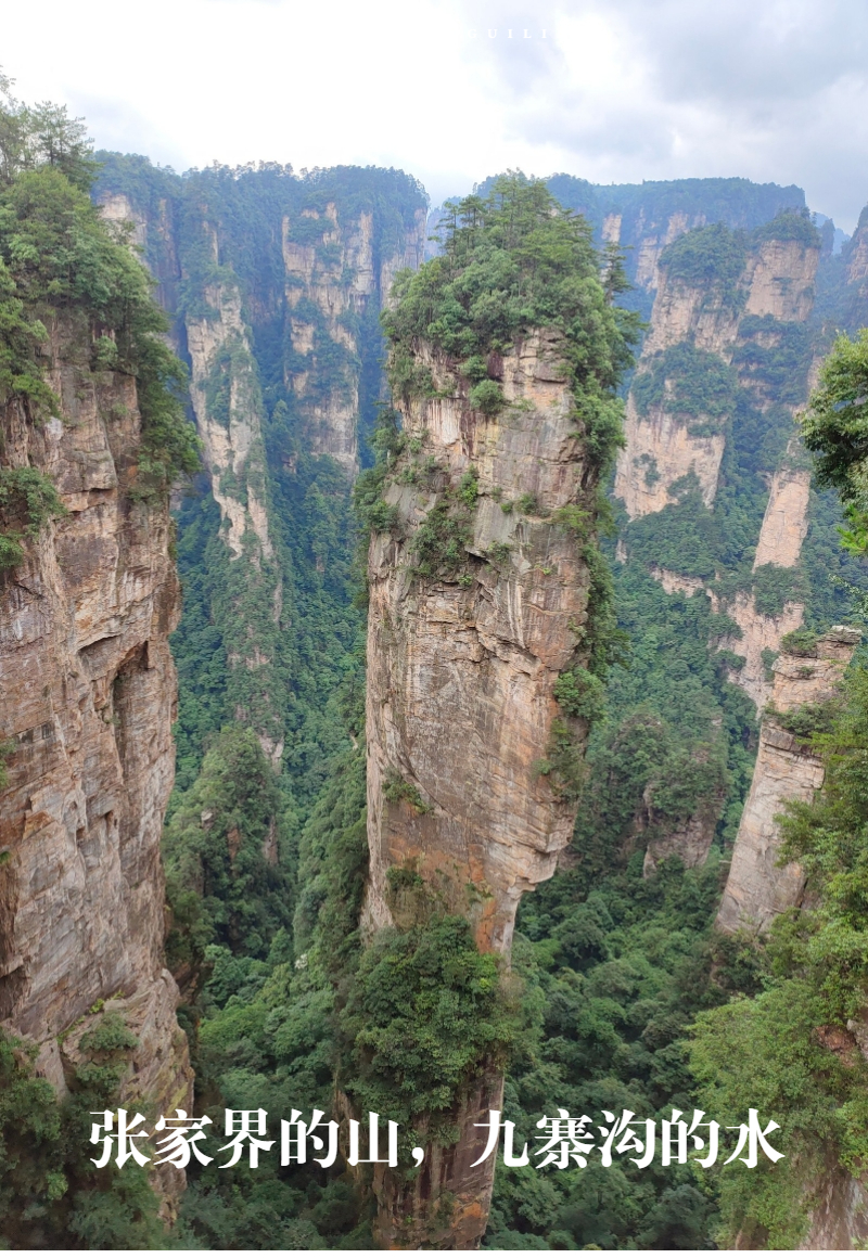 zhangjiajie案例 (11)