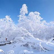 【冬遇雪鄉(xiāng)】冰城哈爾濱、第一雪嶺虎峰嶺、亞布力滑雪、中國童話雪鄉(xiāng)雙飛6日游