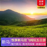 悅享新馬雙飛純玩五日游