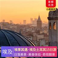 埃享其遇·埃及土耳其15日游