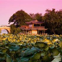 【純玩江南】華東五市雙飛六天(無(wú)錫、杭州、蘇州、烏鎮(zhèn)、上海)
