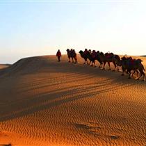 【西夏盛宴】寧夏雙飛5日
