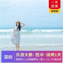 樂游大鵬|楊梅坑山地越野車、戶外真人 CS、 西涌、沙灘燒烤一日游