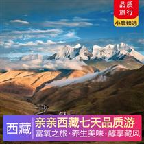 親親西藏七天品質游