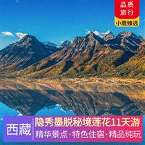 隱秀墨脫秘境蓮花11天游