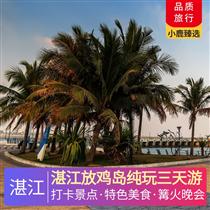 湛江放雞島純玩3天(獨(dú)家包島：篝火晚會(huì)、卡拉OK狂歡、豪住一晚島上酒店，“東方夏威夷”南海旅游島中國(guó)第一灘)