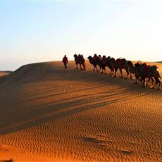 【西夏盛宴】寧夏雙飛5日