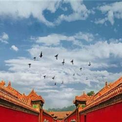 北京旅游路線遇見北京 京城雙飛五天純玩團 尊享品質航班 南方航空 打卡新七大奇跡之一大興國際機場