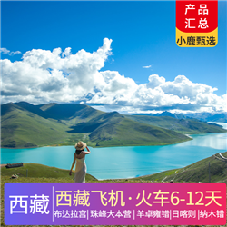 西藏旅游價格西藏   西藏出游計劃合集 總有一款適合您 西藏飛機 火車6-12天 布達拉宮 珠峰大本營 羊卓雍錯 日喀則 納木錯