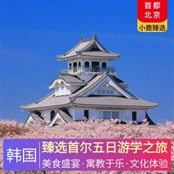 廣東到韓國旅游臻選首爾五日游學之旅 首爾市區五花特二酒店連住四晚 米其林美食