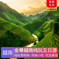 越南旅游路線金尊越南純玩五日游 國內準四 越南4星酒店 全程用餐7正4早餐