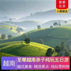 越南旅游路線至尊越南親子純玩五日游 全程越南四星酒店 海天使酒店 湖岸酒店 美食盛宴 走心走胃