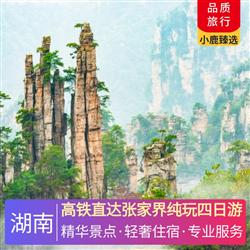 湖南旅游價(jià)格高鐵直達(dá)張家界純玩四日游 全程入住網(wǎng)評4鉆酒店 享受尊貴禮遇 體驗(yàn)極致舒適