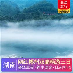 湖南旅游價格網紅郴州雙高暢游三日 一晚入住森林覆蓋率達99 的五星級酒店 莽山森林溫泉酒店