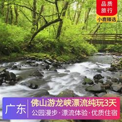 佛山游龍峽漂流純玩3天 深圳出發  肇慶市區酒店 探秘嶺南第一奇觀 七星巖 漫步水上森林