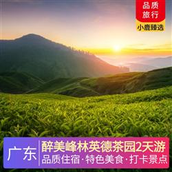 清遠(yuǎn)旅游路線醉美峰林英德茶園2天游 深圳出發(fā)  英德市區(qū)公寓酒店 尋味 英紅茶香宴
