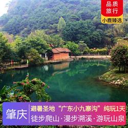 肇慶旅游價(jià)格避暑圣地 廣東小九寨溝 純玩1天 呼吸森林大氧吧 青山環(huán)抱 美若仙境