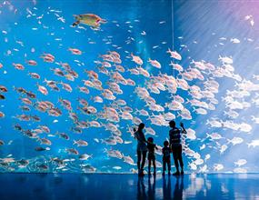 【高端定制】珠海長隆海洋王國+珠海海泉灣溫泉度假村3天游
