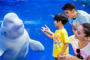 珠海長隆2-廣東福鹿游國際旅行社