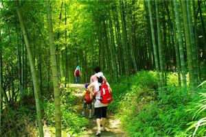 溪頭村徒步3-廣東福鹿游國際旅行社