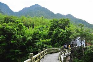 姑婆山34.jpg-廣東福鹿游國際旅行社