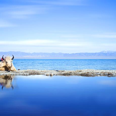【天空之鏡】西北青海雙飛6天中國最美的“天空之鏡”置身云端，這里是攝影家們的天堂。