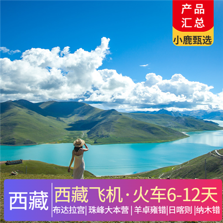 西藏 | 西藏出游計劃合集 總有一款適合您西藏飛機·火車6-12天;布達拉宮、珠峰大本營、羊卓雍錯、日喀則、納木錯