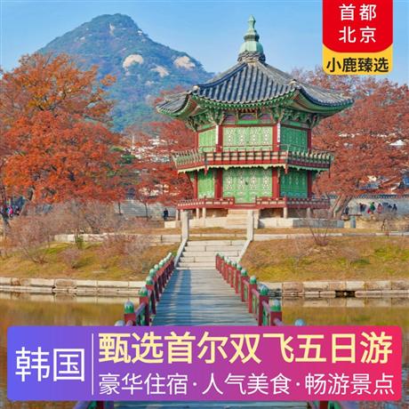 甄選首爾雙飛五日游保證入住五花特二酒店，韓式自主烤肉，部隊(duì)火鍋，人參雞湯