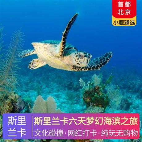 斯里蘭卡六天夢幻海濱之旅全程網評五星度假酒店，盡享斯里蘭卡的沙灘、叢林、山景風光
