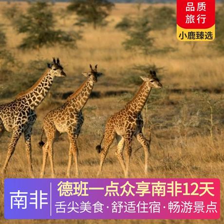 德班一點眾享南非12天入住 1 晚赫曼紐斯觀鯨小鎮，升級 1 晚 4 星海濱度假酒店，升級 1 晚 4 星普勒滕貝格灣酒店